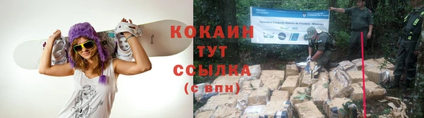 стафф Бронницы