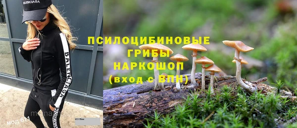 стафф Бронницы