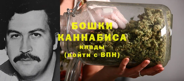 стафф Бронницы