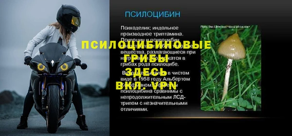 стафф Бронницы